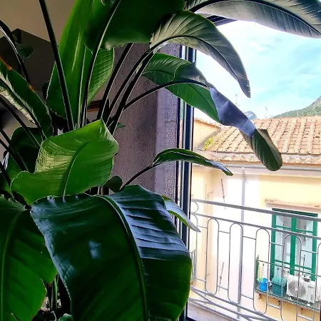Maison Grimoaldo10 *
