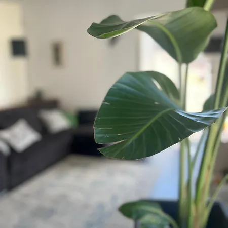 Maison Grimoaldo10 Prázdninový dům