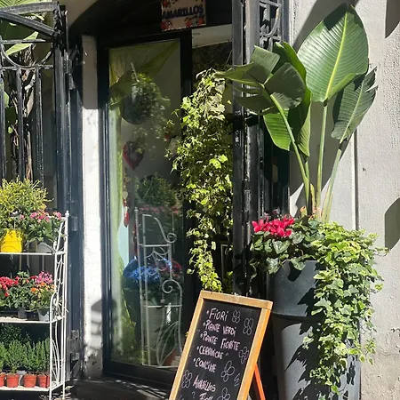 Maison Grimoaldo10 Сasa de vacaciones Salerno