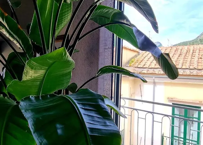 Maison Grimoaldo10 *